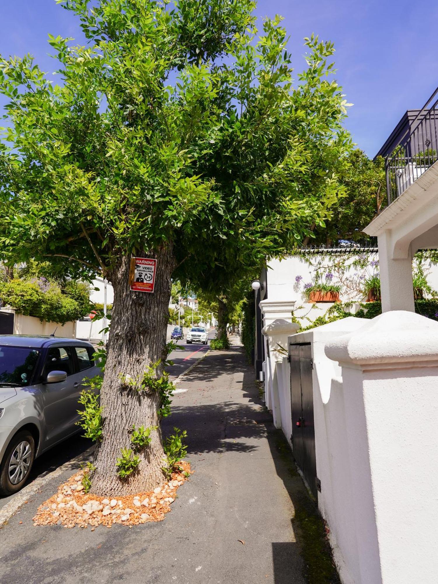 开普敦 贝尔蒙特旅馆酒店 外观 照片